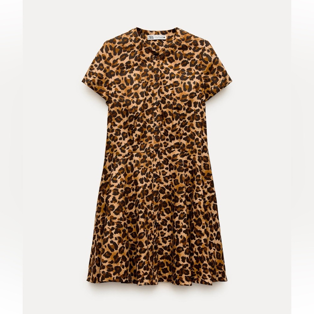 NWT Zara Printed Dress
